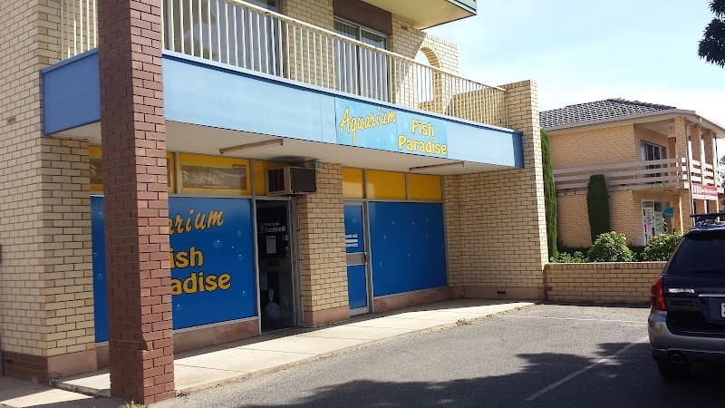 Aquarium Fish Paradise