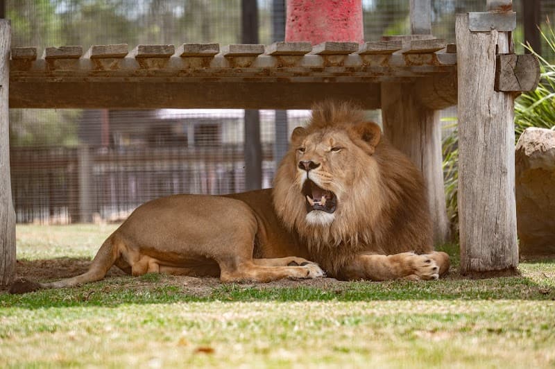 Hunter Valley Wildlife Park