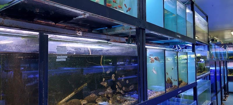 Paul's Aquariums & Ponds