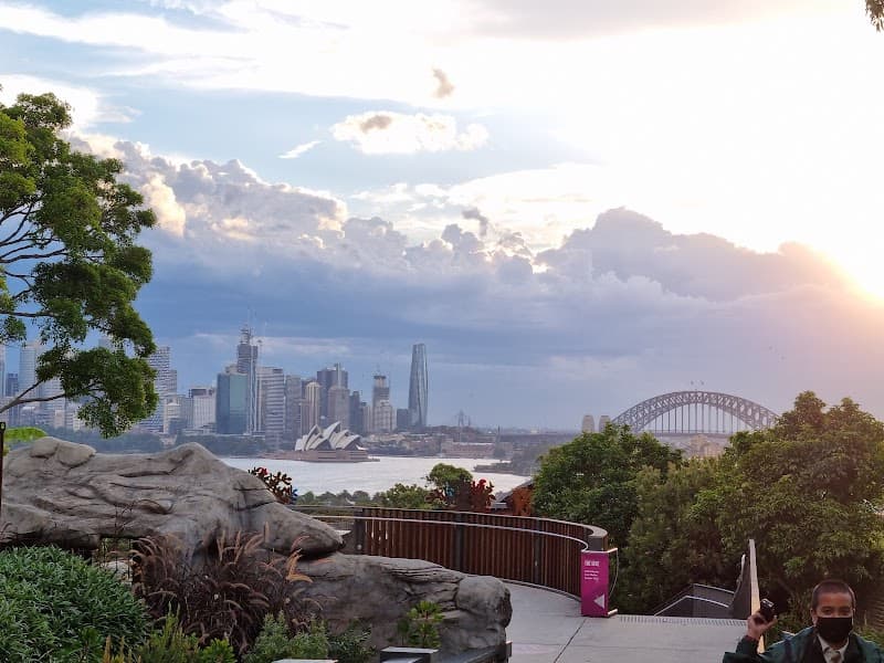 Roar and Snore Taronga Zoo