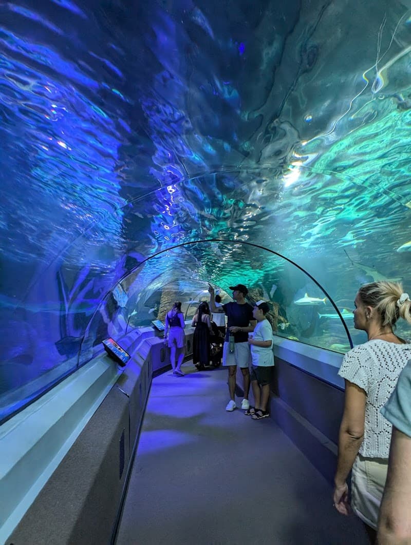 SEA LIFE Sunshine Coast Aquarium