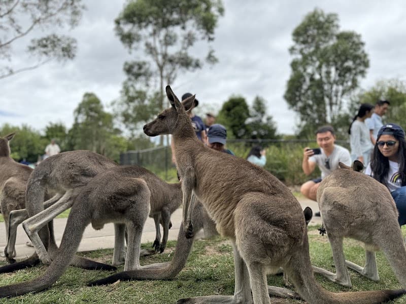 Symbio Wildlife Park
