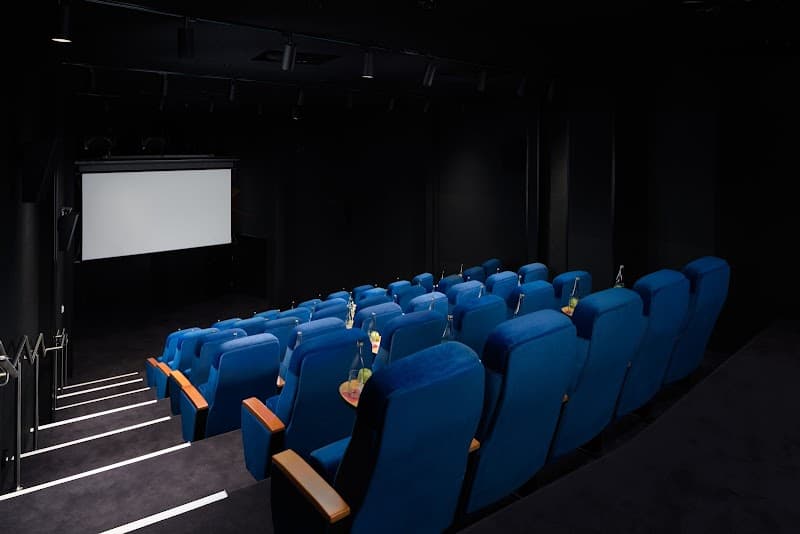 The Reservoir Cinema