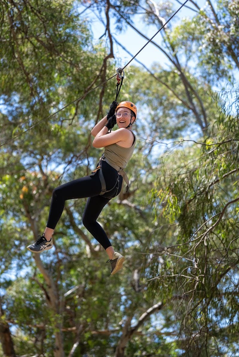 TreeClimb Salisbury