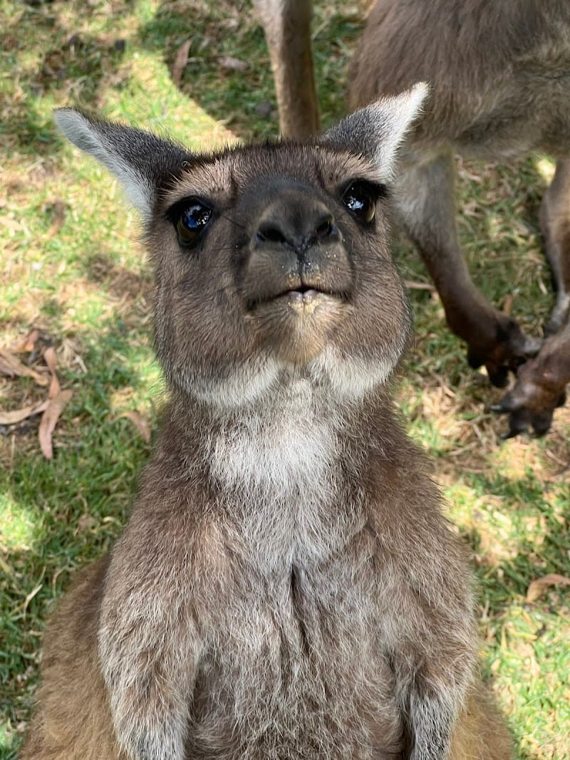 Urimbirra Wildlife Park